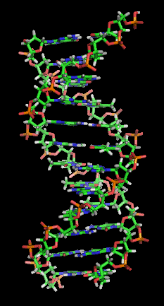 DNA