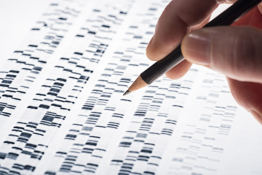 DNA graph