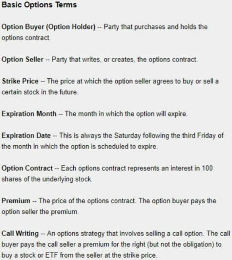 options terms